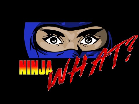 Ninja Gaiden (NES) Reimagined // Ninja Noboken Indie Game
