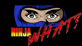 Ninja Gaiden (NES) Reimagined // Ninja Noboken Indie Game