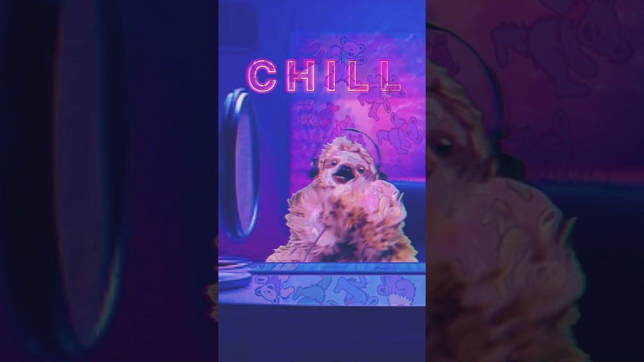 ♪なんかチル🦥チルな時間を大切にね#chill#sloth #HOW TO CHILL OUT