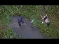 Memories Of Murder Unveiling The True Case Reality Is More Complex Than The Movie