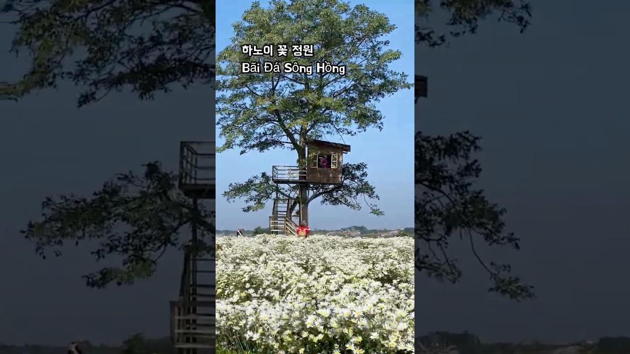 하노이 꽃 정원???