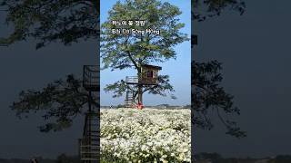 하노이 꽃 정원???