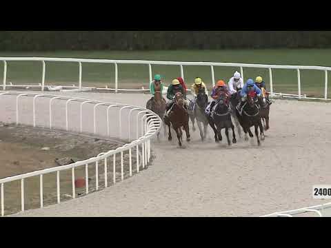 2021.04.11. 08. futam - PÁZMÁN HENDIKEP (V.o.) (szintetikus pálya)