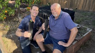 Escondido man's dream to plant 20,000 oak trees continues to grow