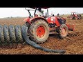Top 10 Biggest Snakes Ever Found
