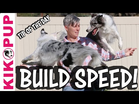 What is Clicker Training