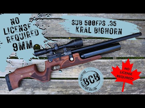 Sub 500FPS 9mm .35 cal Kral Bighorn Review! BCBALLISTICS
