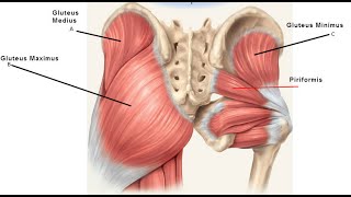 Golf Workout for Lower Back Pain