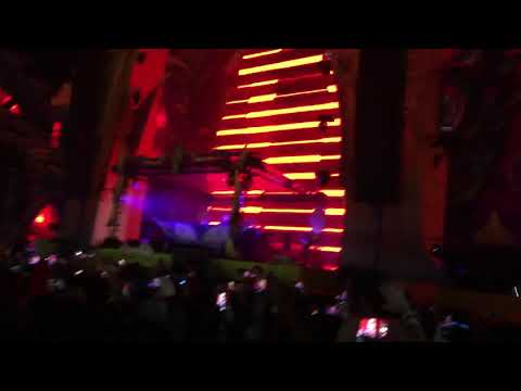 Dreamfields Mexico 2019 🇲🇽