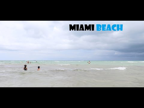 Taking My Aunty Phelecitie To Miami Beach!