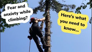 Arborist Tree Climbing Tips For Dealing With Anxiety and Fear