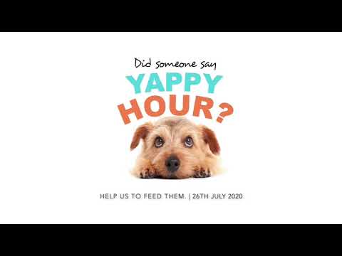 Yappy Hour 2020