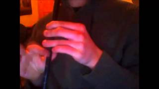 Cruachan - "The Children of Lir" (Tin Whistle Cover)