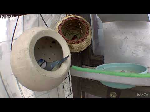 Bilder des Tages - 10 - 14.02.2026 / Pictures of the day - February 10 - 14, 2026