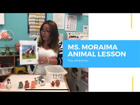 Ms. Moraima Animal Lesson