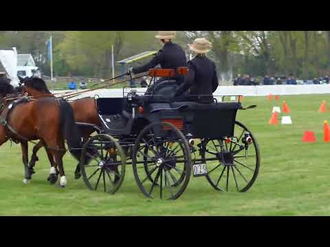 Fahrturnier Lähden 1.5.2022 (National)