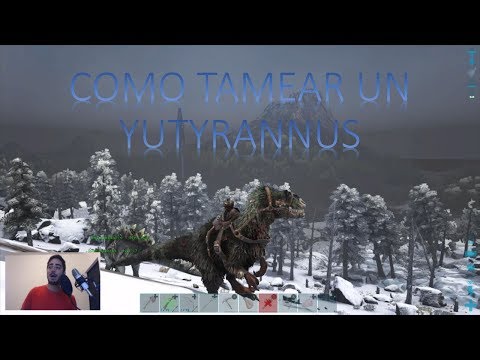 COMO TAMEAR UN  YUTYRANNUS/ VAGA