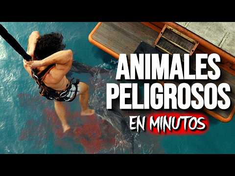 DANGEROUS ANIMALS (2025) SUMMARY IN MINUTES