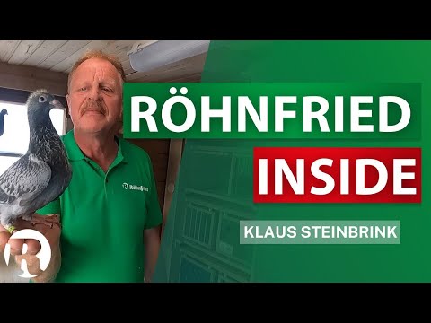 Röhnfried Inside - Klaus Steinbrink - Reisejahr 2023 - Versorgung in der Mauser - BRIEFTAUBEN