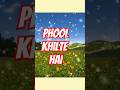 Phool Khilte Hai Padh Padhke Salli Wala Short Youtube Flowers Love Flowery Islamicmusic