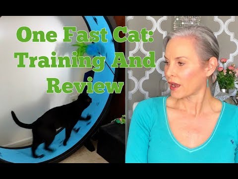 One Fast Cat: Training And Review