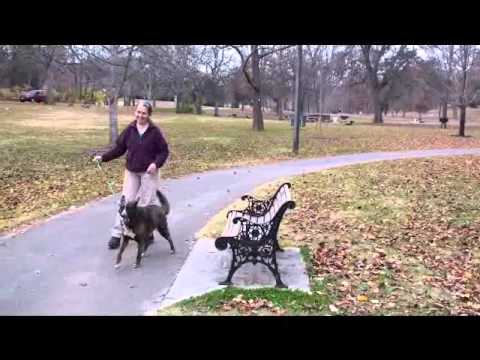 2012-11-23 - Springbrook Park