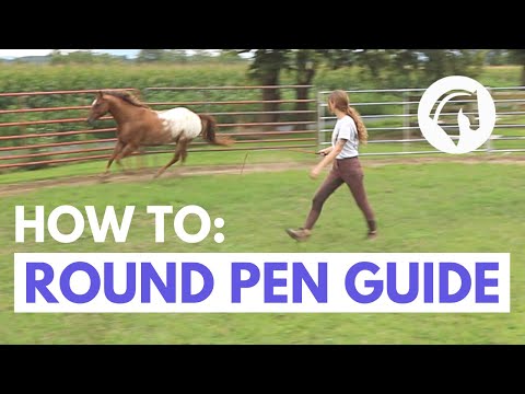 YouTube video about: What is a round pen used for horses?