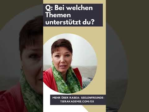 Versteh dein Pferd, Probleme und Ängste im Alltag lösen & mehr Leichtigkeit - Rabea Groß