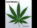 Israel Vibration - Ambush