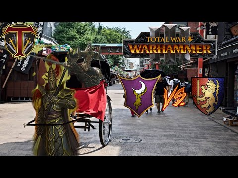 THE WITCH KING DESCENDS! Dark Elves vs Bretonnia - Total War Warhammer 3