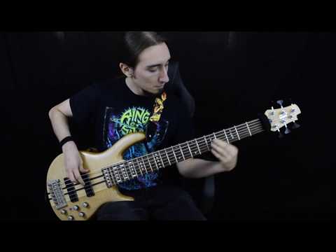 Regression In Enthropia -  Scar Portraits - Official Bass Playthrough