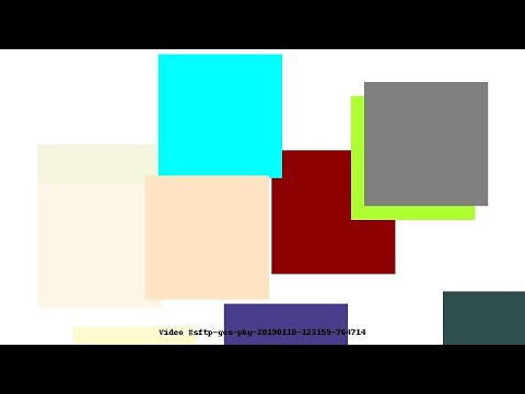 Video #sftp-gcs-pkg-20190110-123159-764714