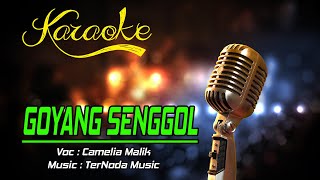 Download lagu Karaoke GOYANG SENGGOL - Camelia Malik mp3