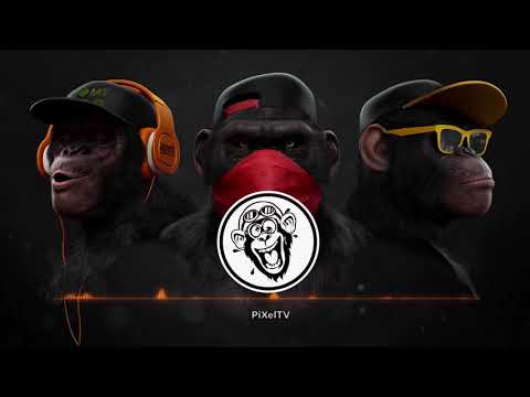 Kaktus 4K   Black Edition