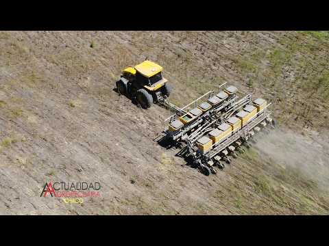 Siembra de Soja - Zona Chorotis Provincia del Chaco - Ing. Agr. Enzo Lociski.
