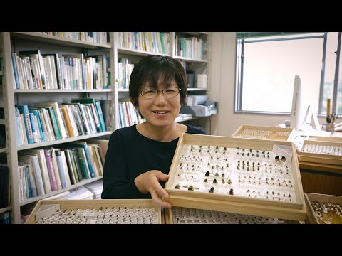 Mystery behind flower diversity - Plants' pollination strategies and animals' quest for nectar -