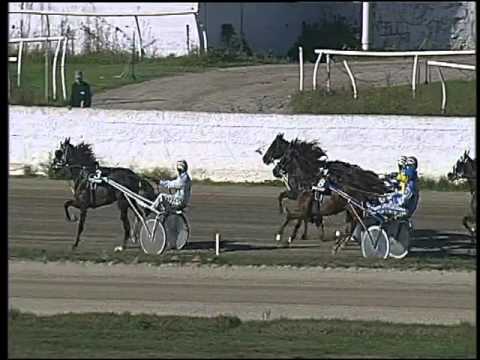 Trotto 08/11/2015 - 1° corsa