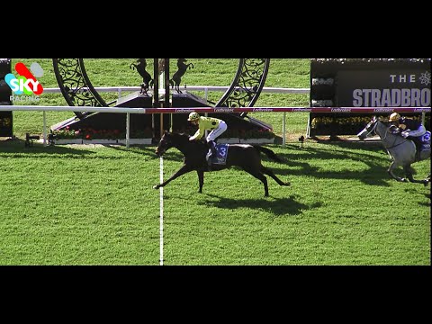 Without A Fight - Lord Mayors Cup