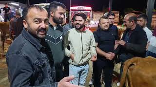 #Develi belediyesi CANLI HAYVAN PAZARI .!!! 07 Temmuz 2026 alana satana hayırlı 