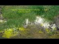 Couturier : Nostalghia - Song For Tarkovsky  - 7. Andrei