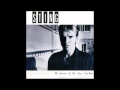 Sting - Shadows in the Rain (CD The Dream of the Blue Turtles)