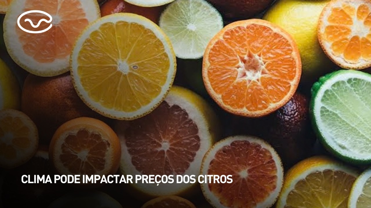 Clima pode impactar preços dos citros
