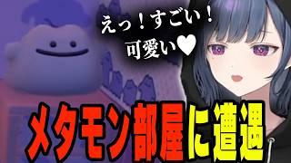 可愛すぎる夢の部屋を発見【小清水透/にじさんじ/切り抜き】