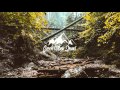 Hurley Mower - Gems 