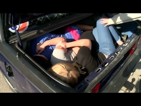 Björn intryckt i bagaget - Spring! (TV4)