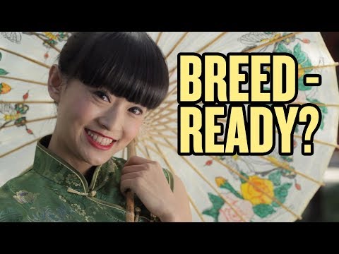 Are Chinese Girls “Breed Ready?” | China Uncensored