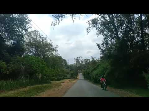 The way to the forest (kenya)