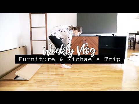 NEW FURNITURE & FAMILY MICHAELS TRIP! || Weekly Vlog #18