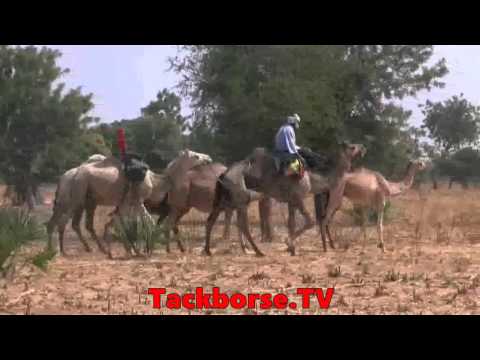 Yanori - Burkina Faso Ft Vincent de Paul