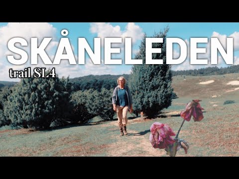 hiking into HERD OF HORSES || intoxicating Views SKÅNELEDEN SL4 Brösarps Backar ep.36 #hiking#nature